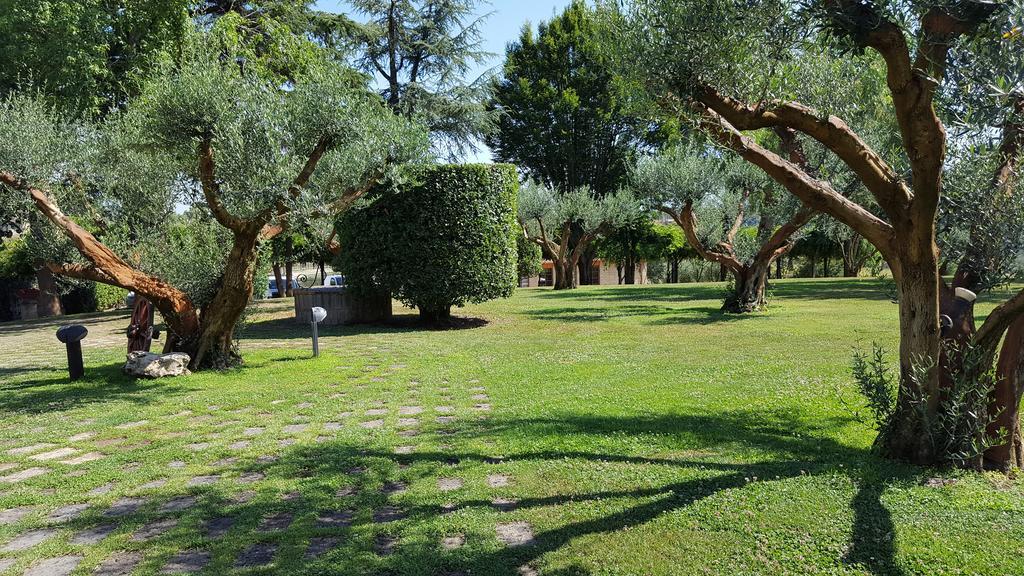 Aquilamaior Tragliata Bagian luar foto