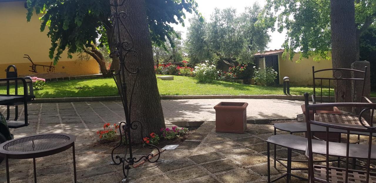 Aquilamaior Tragliata Bagian luar foto