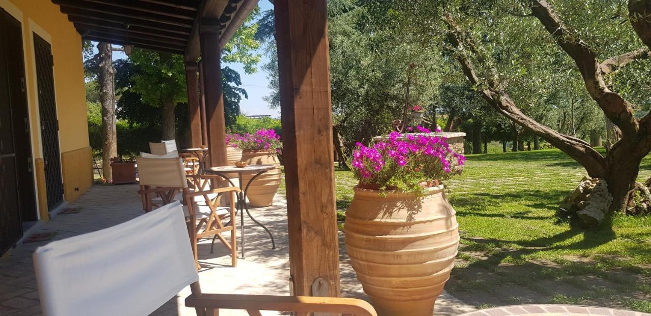 Aquilamaior Tragliata Bagian luar foto
